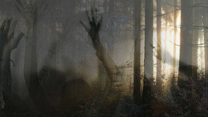 Paranormal Survivor kép