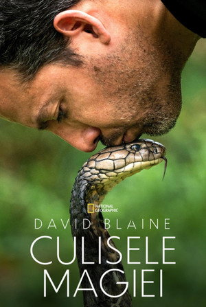 Ezt ne próbáld ki! - Halálos mutatványok David Blaine-nel poszter