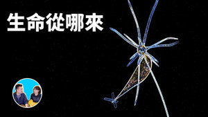 老高与小茉 Speciális epizódok Ep.286 286. epizód