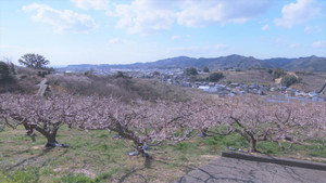 小さな旅 4. évad Ep.499 499. epizód