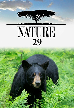 Nature 29. évad (2010-09-26) poszter