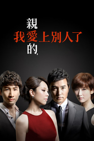 亲爱的，我爱上别人了 1. évad (2013-06-28) poszter