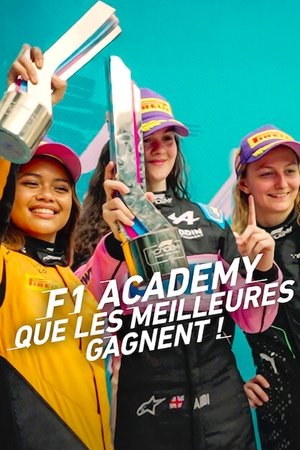 F1 Akadémia poszter