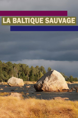 Wildes Baltikum poszter