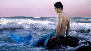 เพียงนาวา kép