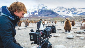Wild Life with Bertie Gregory kép