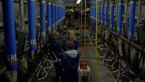 Boer zoekt Vrouw 14. évad Ep.5 5. epizód