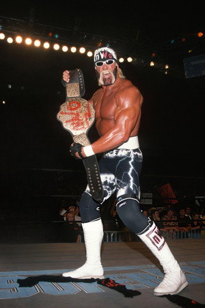 Hulk Hogan: Ízig-vérig amerikai poszter