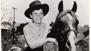 My Friend Flicka kép