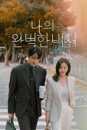나의 완벽한 비서 poszter