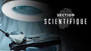 Section scientifique kép