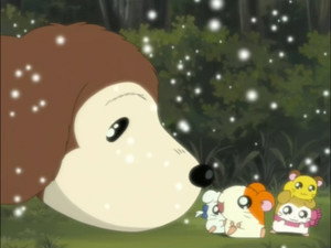 とっとこハム太郎 1. évad Ep.89 89. epizód
