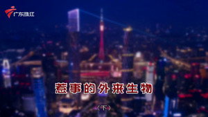 外来媳妇本地郎 12. évad Ep.4386 4386. epizód
