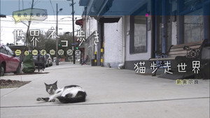 岩合光昭の世界ネコ歩き 1. évad Ep.27 27. epizód