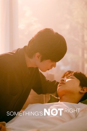 무언가 잘못되었다 poszter