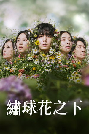 一次元の挿し木 poszter