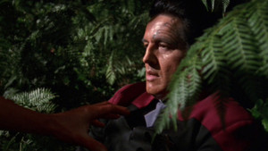 Star Trek: Voyager 7. évad Ep.22 A természet törvénye