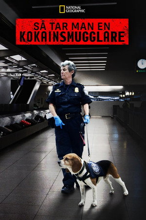 Drogfogások a repülőtéren poszter