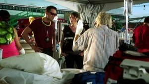 CSI: A helyszínelők 13. évad Ep.3 Vadvirágok