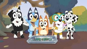 Bluey 1. évad Ep.13 Kémes