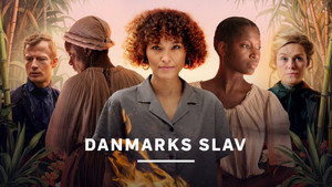 Slave af Danmark kép
