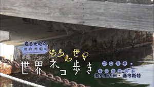 岩合光昭の世界ネコ歩き 1. évad Ep.5 5. epizód