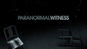 Paranormal Witness kép