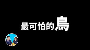 老高与小茉 Speciális epizódok Ep.191 191. epizód