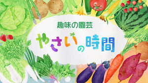 趣味の園芸 やさいの時間 kép