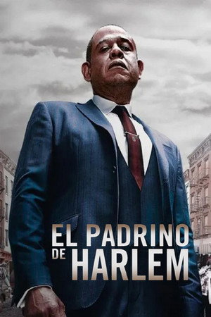Godfather of Harlem poszter