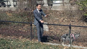 Million Dollar Listing New York 5. évad Ep.9 9. epizód