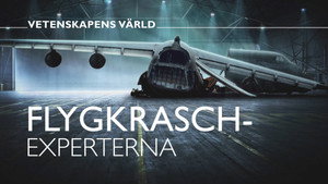 Vetenskapens värld 48. évad Ep.6 6. epizód