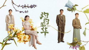 灼灼韶华 kép