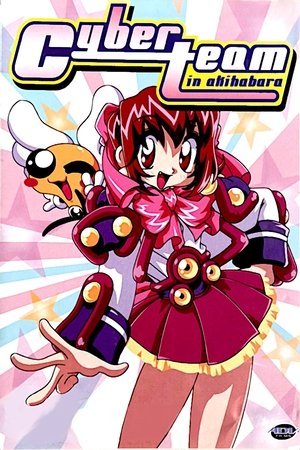 アキハバラ電脳組 poszter