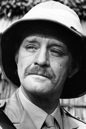 Don Knight profil kép
