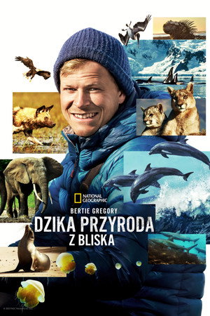 Az állatok világa Bertie Gregoryval poszter