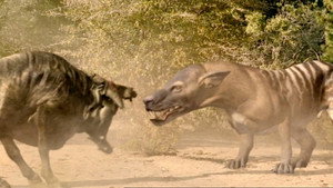 Walking with Beasts kép