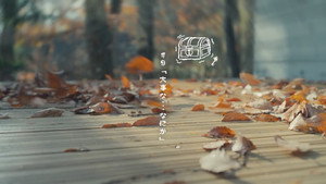 月とケーキ 2. évad Ep.9 9. epizód