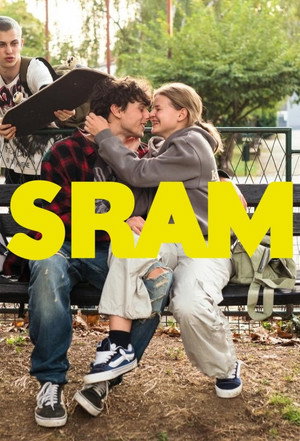 SRAM poszter