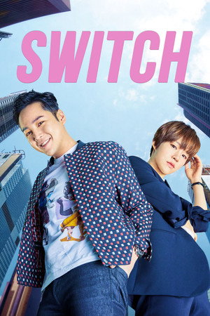 스위치 poszter