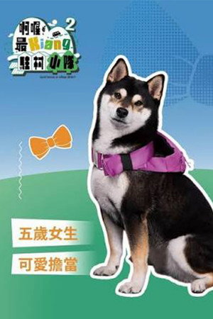 啊喔！最Kiang駐村小隊 2. évad (2026-05-01) poszter