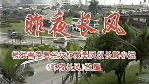 昨夜长风 kép