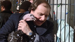 Hill Street Blues 6. évad Ep.10 10. epizód
