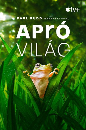 Apró világ poszter