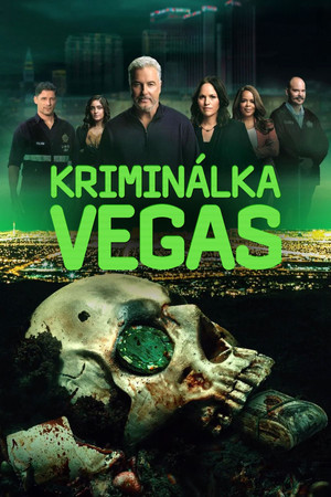 CSI: Las Vegas-i helyszínelők poszter