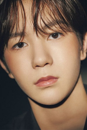 료 profil kép