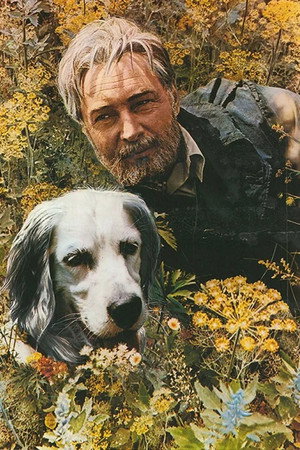 Белый Бим Чёрное ухо 1. évad (1977-09-15) poszter