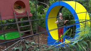 I'm a Celebrity...Get Me Out of Here! 12. évad Ep.6 6. epizód