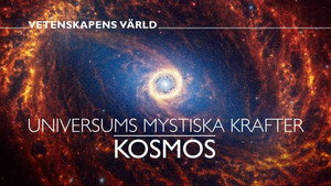 Vetenskapens värld 51. évad Ep.3 3. epizód