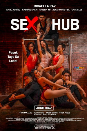 Sex Hub poszter